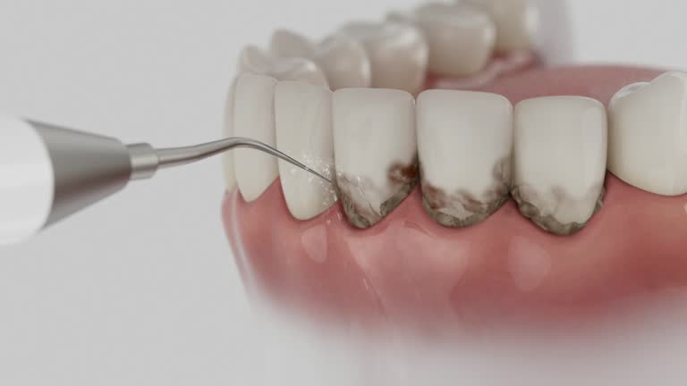 Trusted Emergency Dentist service in Frenchtown, NJ - Dentist Open Now